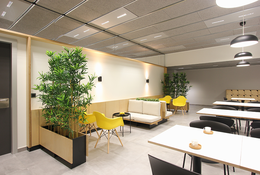 Diseño de espacio de descanso para personal. Re-estudio