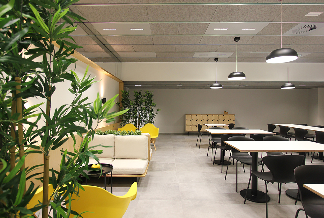Diseño de espacio de descanso para personal. Re-estudio